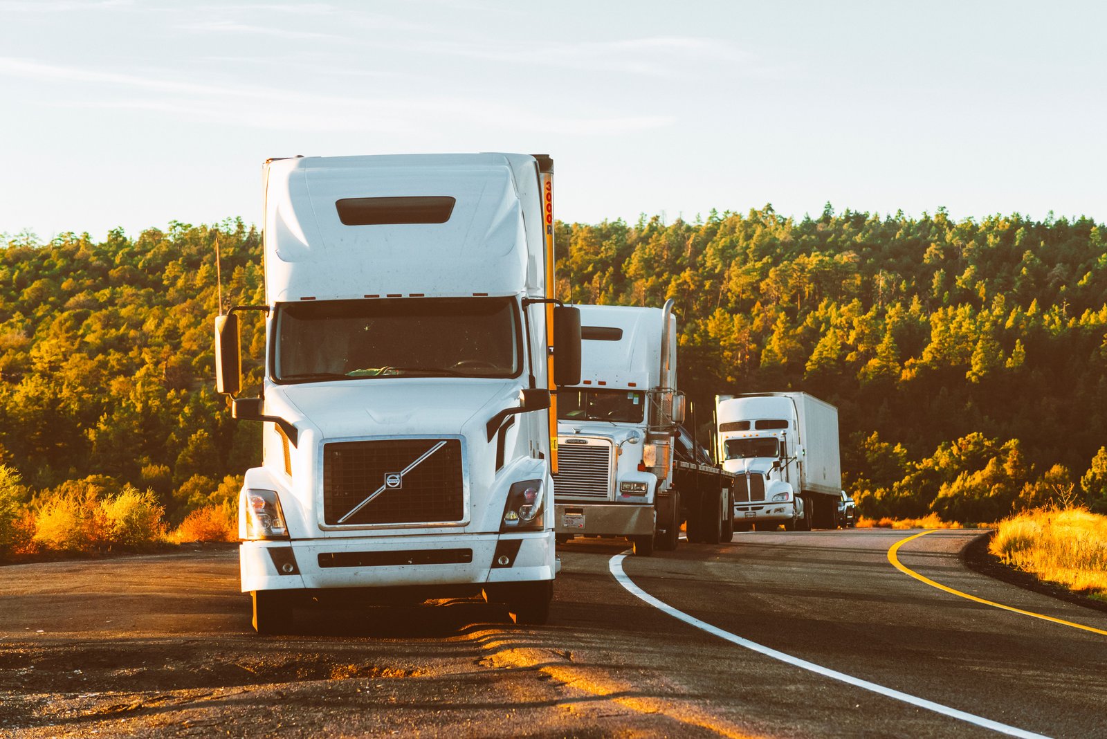Transportation Management